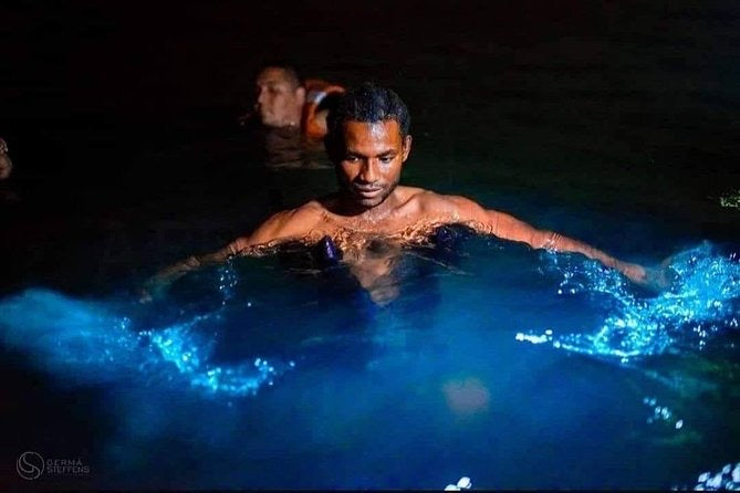 Plancton Luminoso - Península Barú