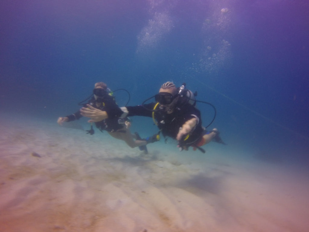 BUCEO - Península de Baru