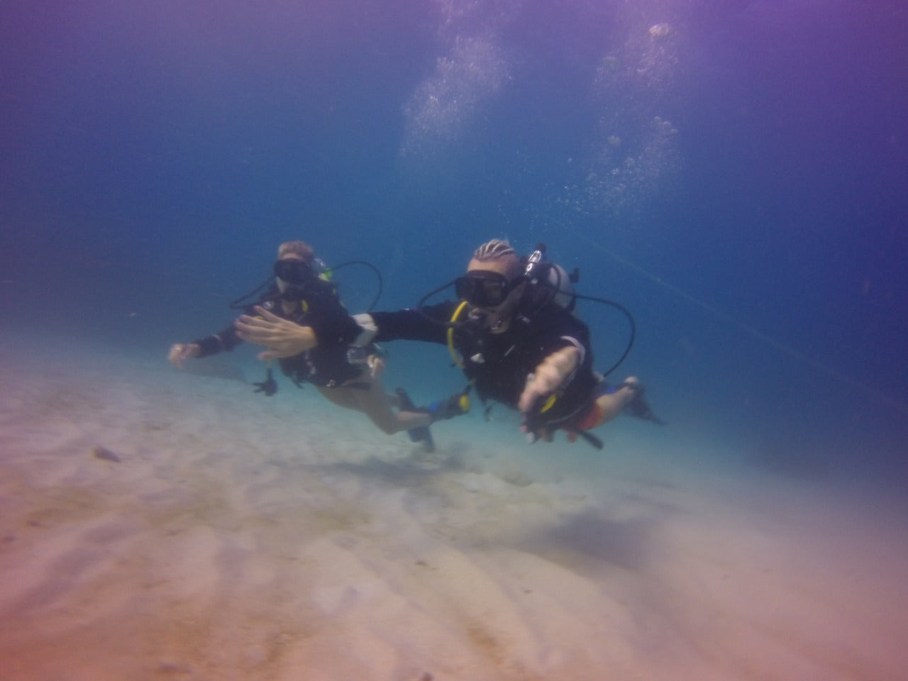 BUCEO - Península de Baru