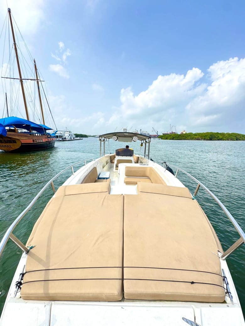 Bote Deportivo Capacidad 20pax