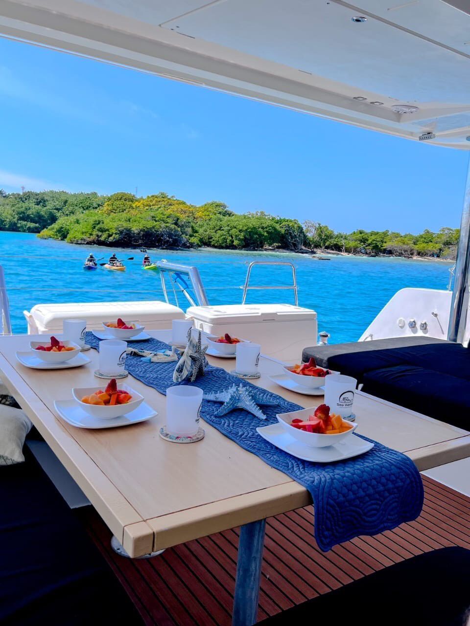 CATAMARAN DE LUJO CAPACIDAD 30pax